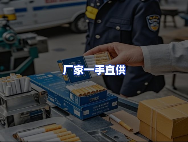 专业团队